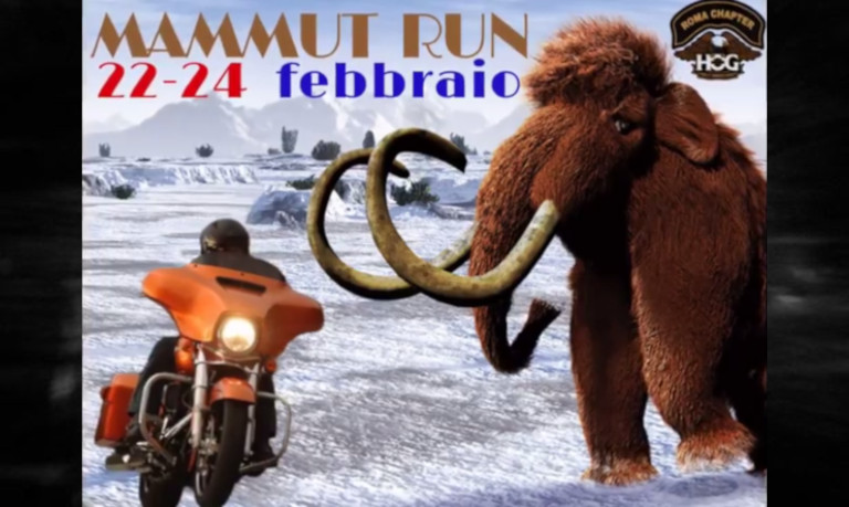 mammut run